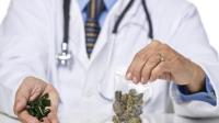 Medical Marijuana Services image 1